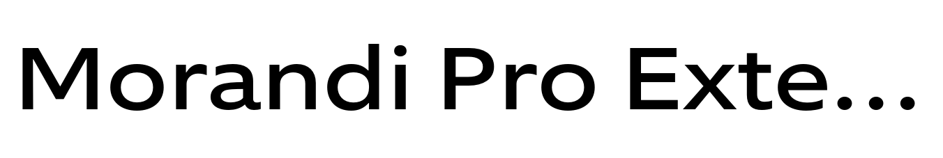 Morandi Pro Extended Medium